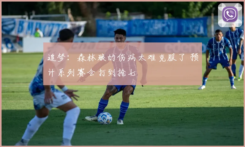 追梦：森林狼的伤病太难克服了 预计系列赛会打到抢七