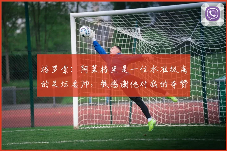 格罗索：阿莱格里是一位水准极高的足坛名帅，很感谢他对我的夸赞